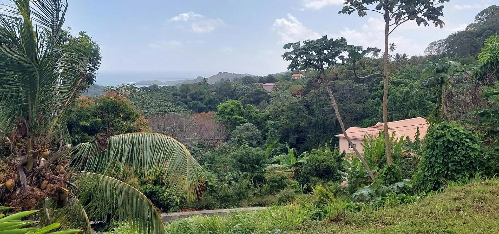 Studio Au Vert Pre Le Robert 0*,  Martinique