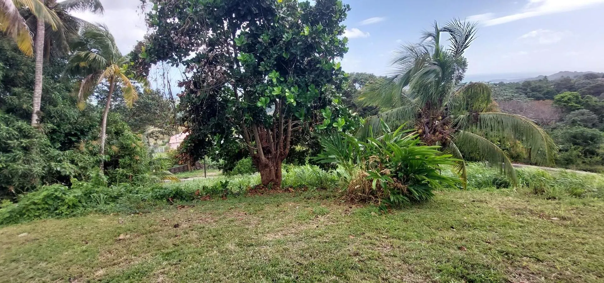 Studio Au Vert Pre Le Robert Martinique