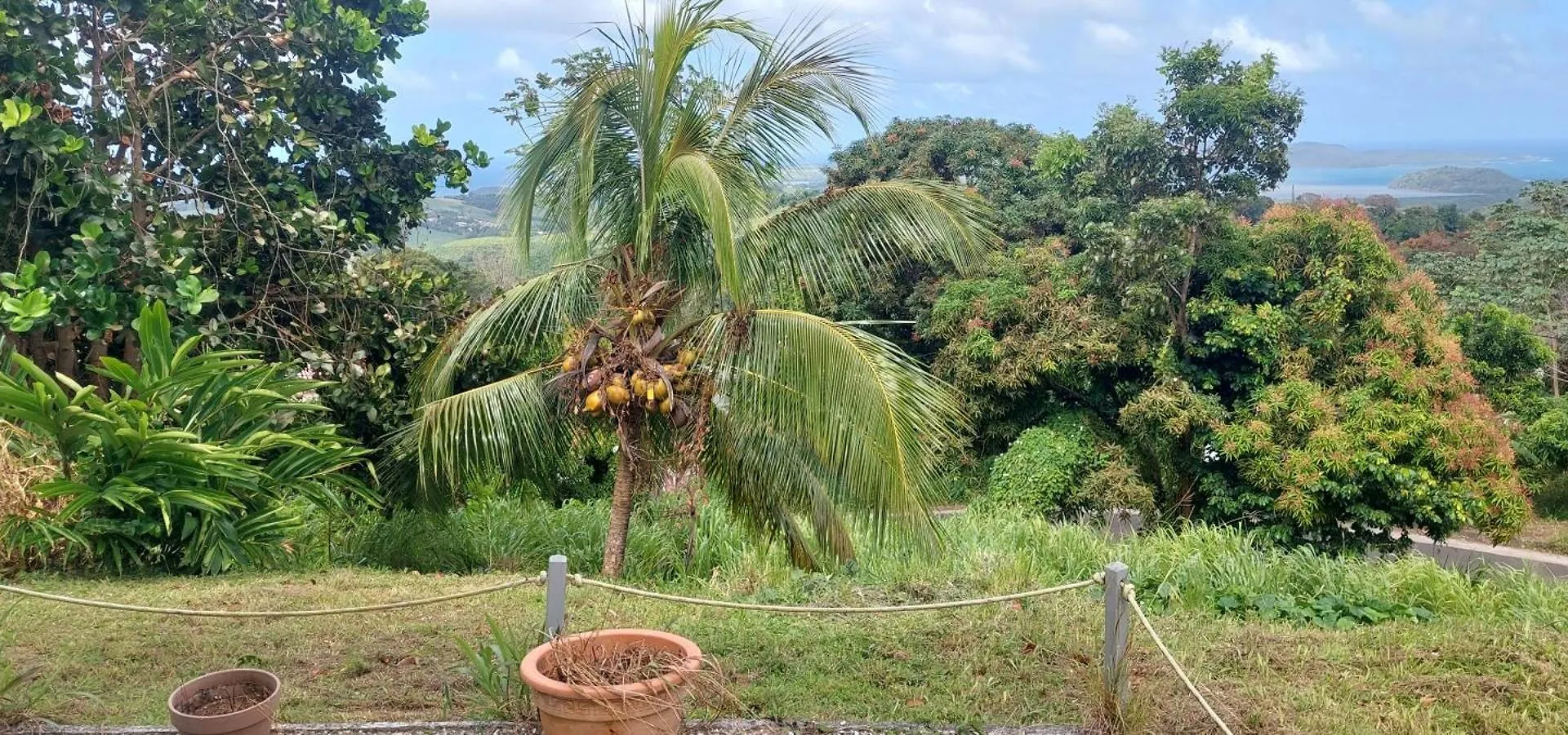 Studio Au Vert Pre Le Robert 0*,  Martinique